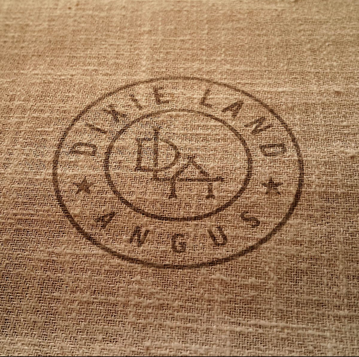 Dixie Land Angus Logo Design