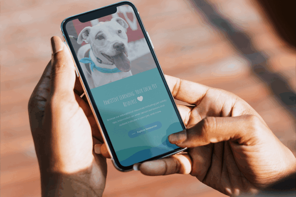 Hub City Animal Project – 2023 501 Project Awardee